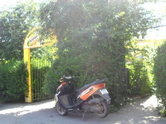 La plimbare cu mopedul, fără permis de conducere şi băut